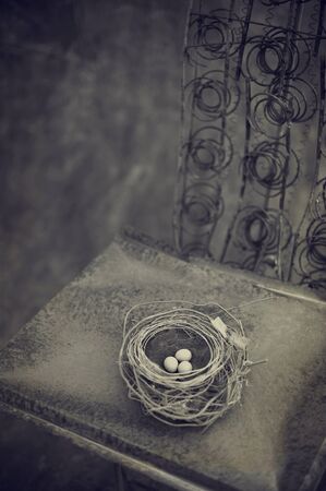 Rust nest in a rustic studio setting sepia toned black and white photography. の写真素材