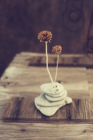Thistles, stones and rust still life. の写真素材