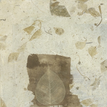 Wabi-sabi Bodhi leaf collage の写真素材