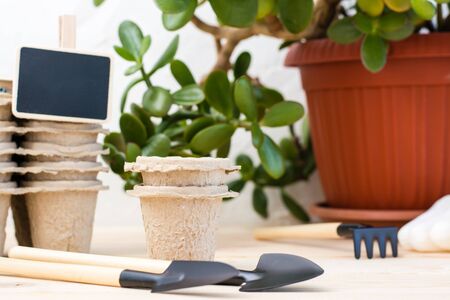 Home Crop Concept. Set of garden tools for planting plants on the background of paper pots and plants on the tableの写真素材