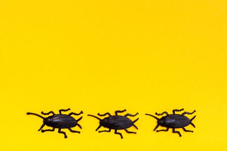 Black plastic cockroaches on a yellow cardboard background. Ready Halloween illustration. Copy space