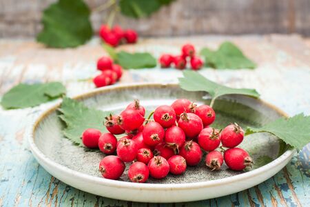 A handful of hawthorn berries with leaves on a plate on a rustic backgroundの写真素材
