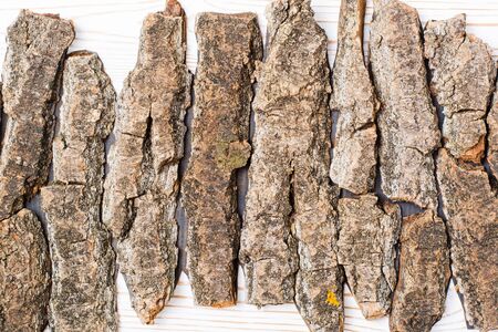 Pieces of bark of a tree lie in a row on a white backgroundの写真素材
