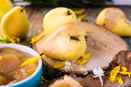 still lifeの写真素材