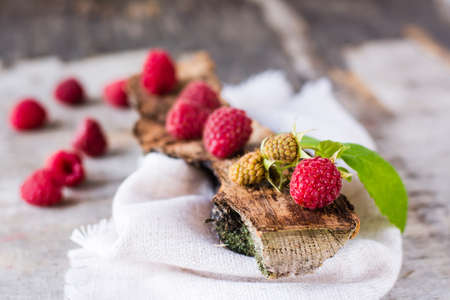 still lifeの写真素材