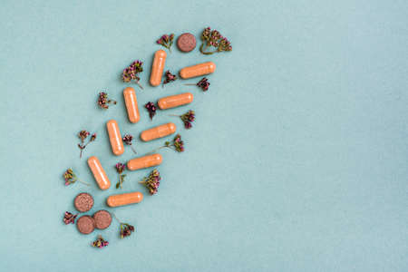Medicinal capsules, pills and herbs in the form of a branch on a green background. Alternative medicine. Top view. Copy spaceの写真素材