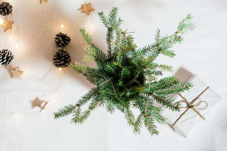 Minimalistic eco christmas. A bouquet of spruce branches in a pot, a garland and a gift in craft paper on a white cloth. Top viewの写真素材