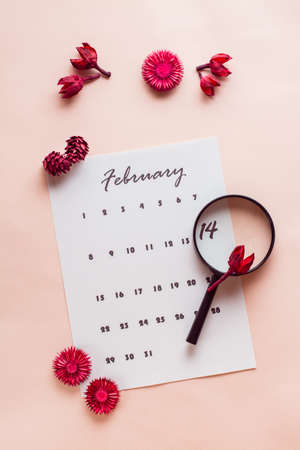 Valentine's Day. A magnifying glass highlights the date February 14 on a calendar sheet and dried flowers on a pink background. Top and vertical viewの写真素材
