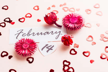 Valentine's Day. Date of February 14 and dry flowers on a pink background strewn with hearts. Close-upの写真素材