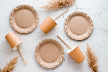 Eco friendly disposable cardboard tableware. Plates, cups and tubes are arranged on a light background. top view.の写真素材