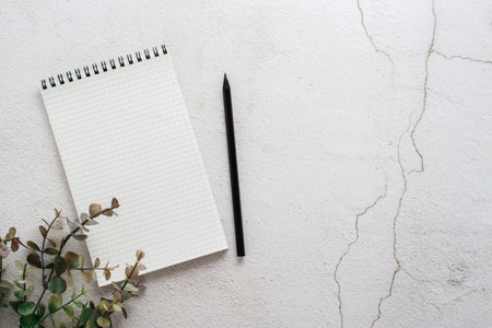 Notepad for writing, pencil and eucalyptus branch on a light textured background. planning and organization. top view. copy spaceの写真素材
