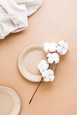 Cardboard plates and a branch of cotton on a beige background. Eco friendly and zero waste concept. top and vertical view.の写真素材