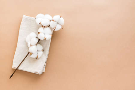 A branch of cotton on a folded fabric on a beige background. natural background. top view. copy spaceの写真素材