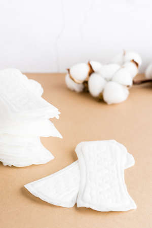 Clean disposable sanitary pads and a branch of cotton on a beige background. Women's health and...