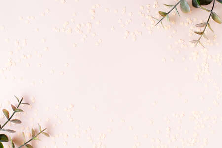 Pink abstract background of stars and twigs of eucalyptus on cardboard