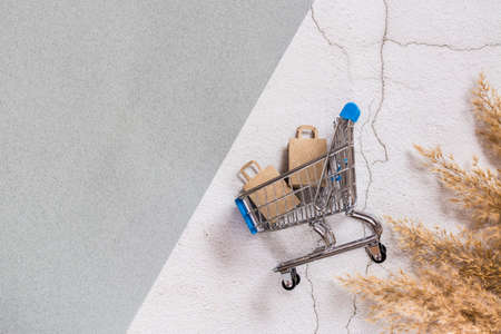 Craft paper shopping bags in a shopping cart on a two-tone background. Sustainable lifestyle, eco-friendly packaging. top view.の写真素材