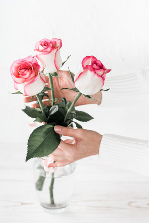Women's hands straighten a bunch of fresh roses in a vase on a light background. vertical view and lifestyleの写真素材