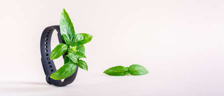 Fresh leaves on the screen of a fitness bracelet. The concept of health care, vitality. web bannerの写真素材