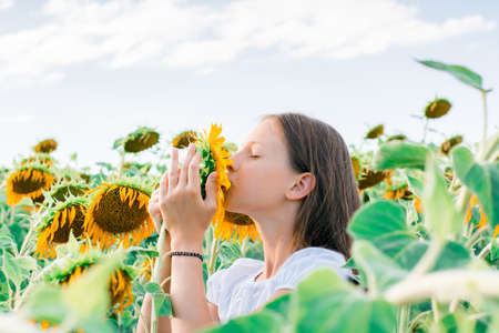 A girl kisses a sunflower in a field in the sun. Cultivation and harvestingの写真素材