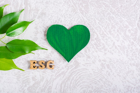 ESG environmental social management policy. Green heart, letters and leaves on a gray background.の写真素材