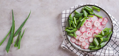 Spring homemade radish and chives salad on a plate on the table top view web bannerの写真素材