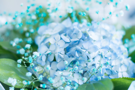 Beautiful floral background of delicate blue hydrangea and green leaves close-upの写真素材