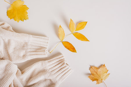 Cozy warm autumn knitted sweater sleeves and yellow leaves top view