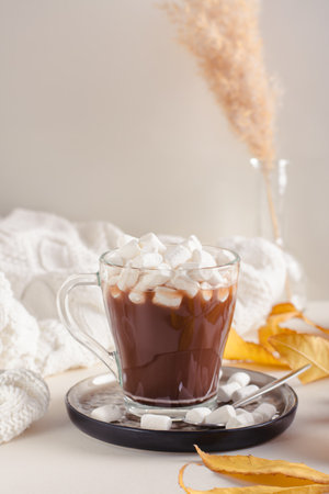 Hot chocolate with marshmallows in a cup on a table among autumn leaves vertical viewの写真素材