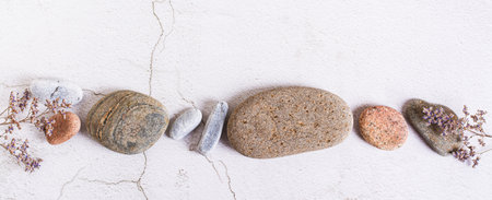 Row of smooth sea stones and dried flowers on a light background top view web bannerの写真素材