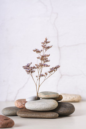 A branch of dried flower stands in a stack of smooth sea stones on the table vertical viewの写真素材
