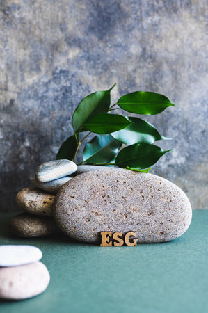 ESG concept wooden letters near a stone and branches with leaves on a green vertical viewの写真素材
