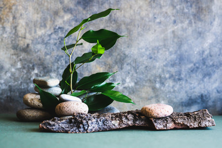 Organic natural background tree bark and branch with leaves in stones on green table