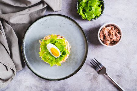 Appetizing salad of canned tuna, potatoes, cheese, lettuce and eggs on a plate top viewの写真素材