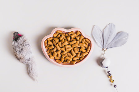 Bowl with dry cat food and toys on the table top viewの写真素材