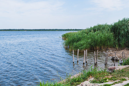 Picturesque river bank with grass, rocks and wooden poles on a sunny summer dayの写真素材
