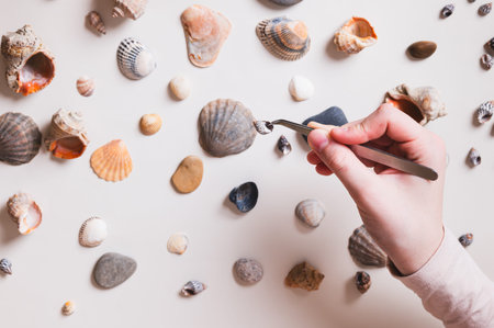 Seashell in tweezers in children's hands and shells and pebbles on the table, top viewの写真素材