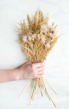 a bouquet of dried flowers in a female hand.の写真素材