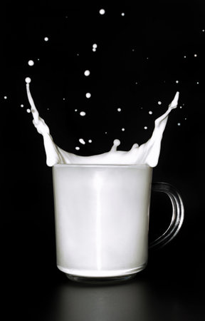 milk splash in a glass mug on black background.の写真素材