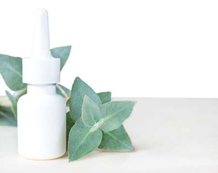 eucalyptus leaves and white bottle on white background.の写真素材