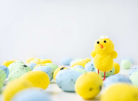 little yellow chicken stands among the colored little eggs.の写真素材