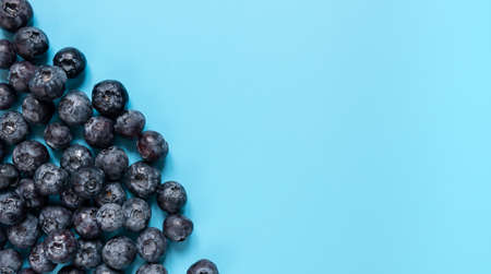 lots of blueberries on a blue background. summer fruit background.