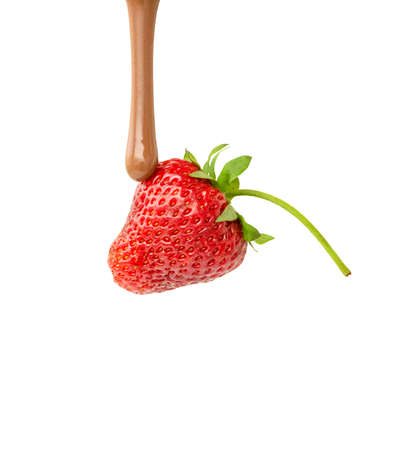 melted milk chocolate drips on ripe strawberry. isolated on white background.の写真素材
