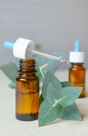 Eucalyptus oil in glass bottle and eucalyptus leavesの写真素材