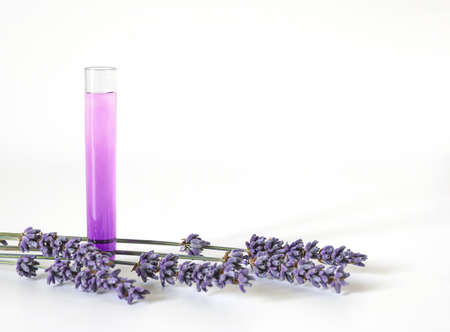 tube with aroma essence and lavender flowers on white backgroundの写真素材