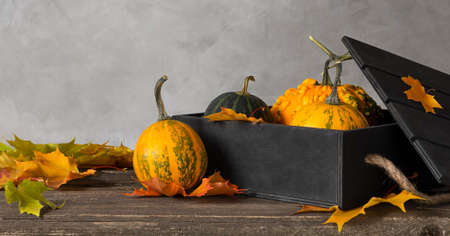 black wooden box with orange pumpkins on a wooden table with maple leaves.の写真素材
