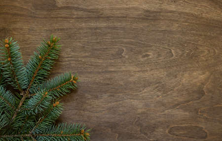 Christmas fir branch on wooden background.