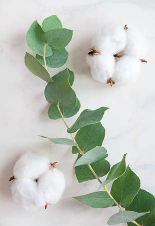 Flowers composition of cotton flowers and eucalyptus branch