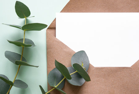 eucalyptus branch and envelope with copy space