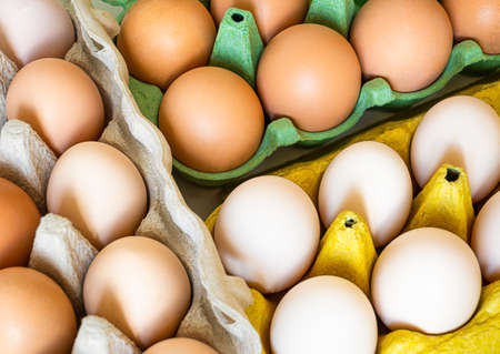 different categories of eggs in trays. top view