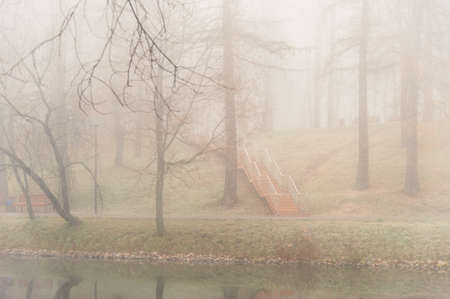 A loneley stairs among trees in the park during the fogの写真素材